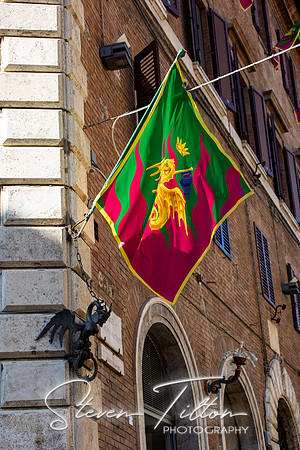 Contrada del Drago