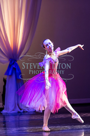 DDI - A Winter Gala