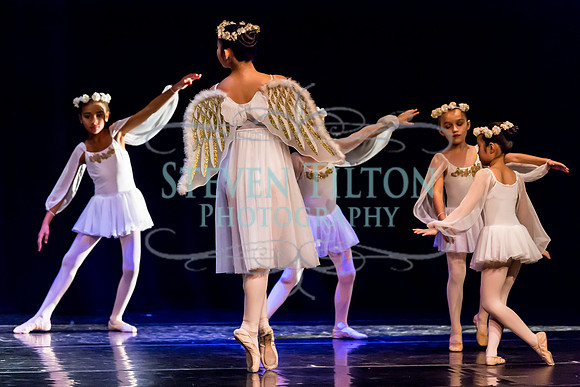 DDI Winter Gala III