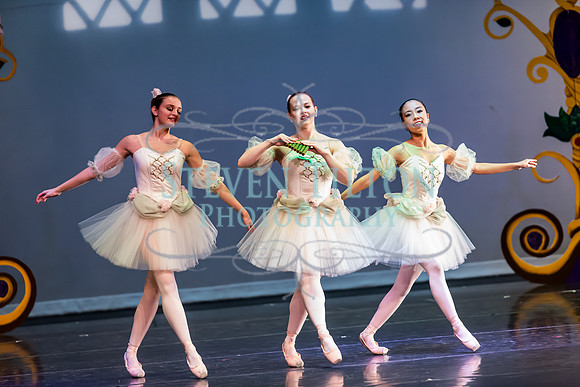 DDI - A Winter Gala