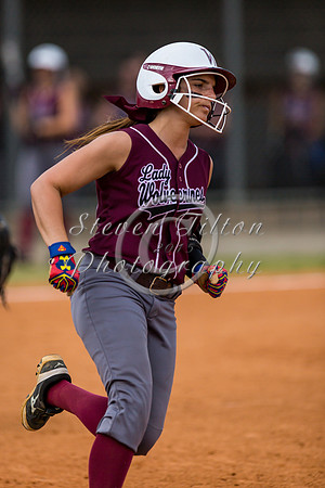 Heritage vs Wakefield Softball