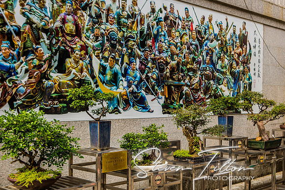 Hong Kong Travels