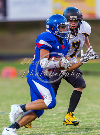 Apex @ Wake Forest JV Football