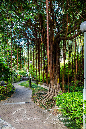 Hong Kong Travels