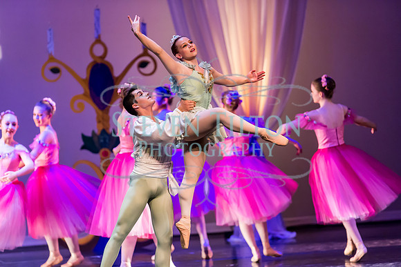 DDI - A Winter Gala