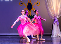 DDI - A Winter Gala