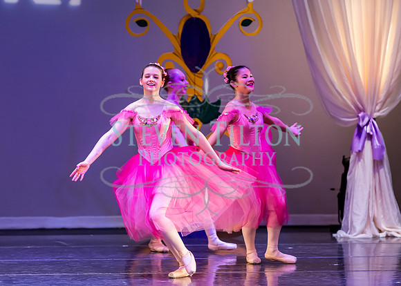 DDI - A Winter Gala