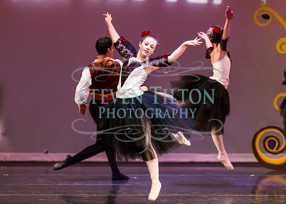 DDI - A Winter Gala