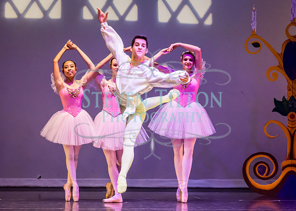 DDI Winter Gala III