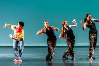 Destiny Dance - A Summer Gala