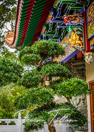 Ngong Ping Village