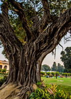 The Red Fort