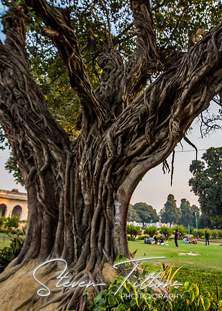The Red Fort
