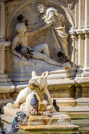Fonte Gaia