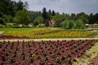Visiting Biltmore Estates