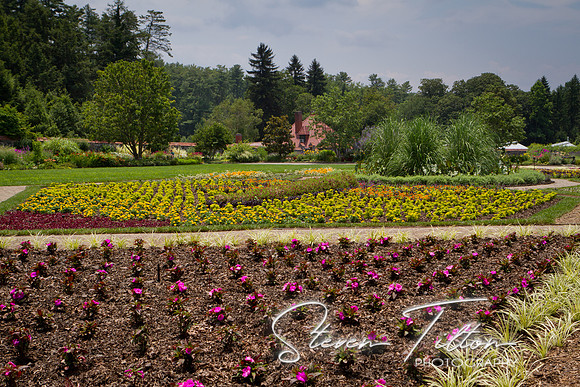 Visiting Biltmore Estates