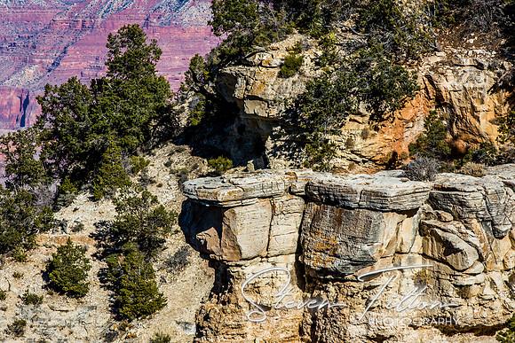 Grand Canyon Railroad