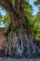 Ayutthaya Historical Park