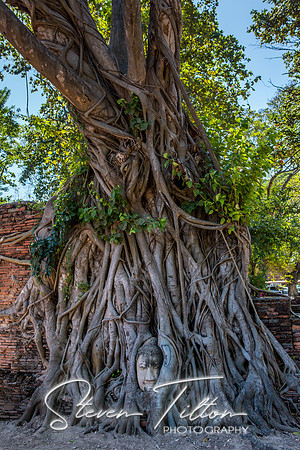 Ayutthaya Historical Park