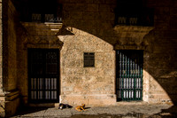 Palacio de los Capitanes Generales Casa de gobierno Havana Cuba