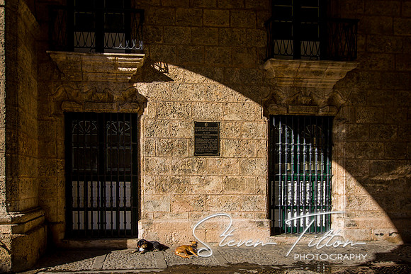 Palacio de los Capitanes Generales Casa de gobierno Havana Cuba
