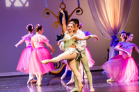 DDI Winter Gala III