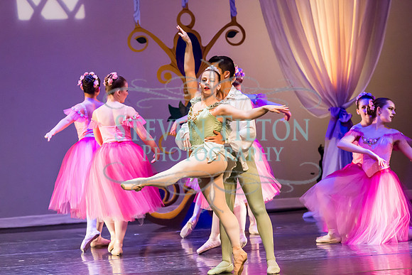 DDI Winter Gala III
