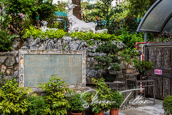 Hong Kong Travels