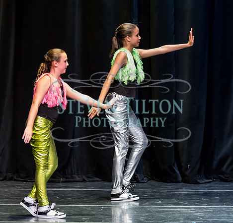 Destiny Dance - A Summer Gala