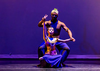 DDI - A Winter Gala