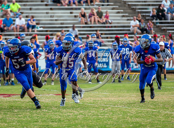 Apex @ Wake Forest JV Football