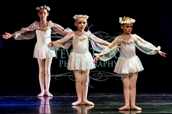 DDI Winter Gala III