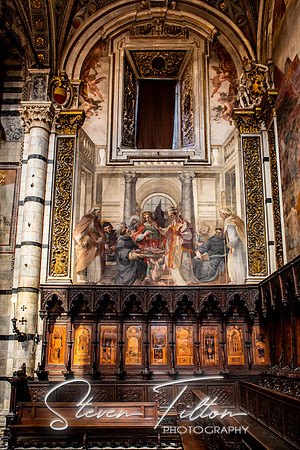 The Choir