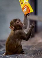 Snacktime
