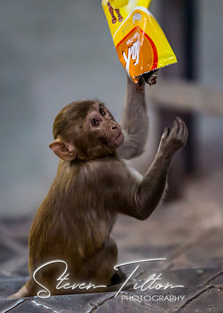Snacktime