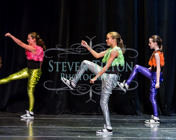 Destiny Dance - A Summer Gala