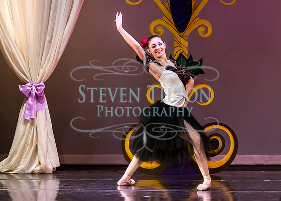 DDI - A Winter Gala