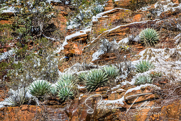 Sedona, AZ