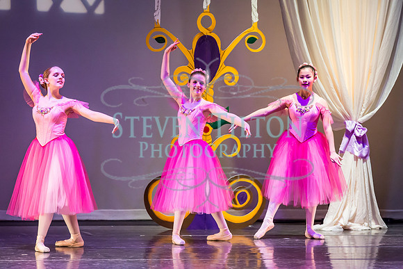 DDI Winter Gala III