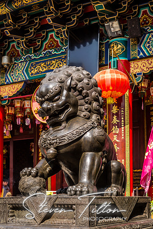Hong Kong Travels