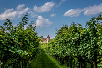 Horton Cellars Winery