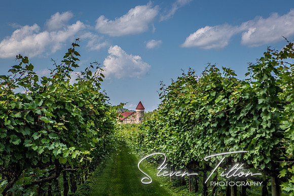 Horton Cellars Winery
