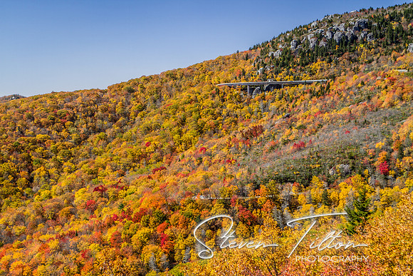 Mountain Foilage