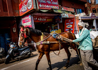 Various Sights in Agra