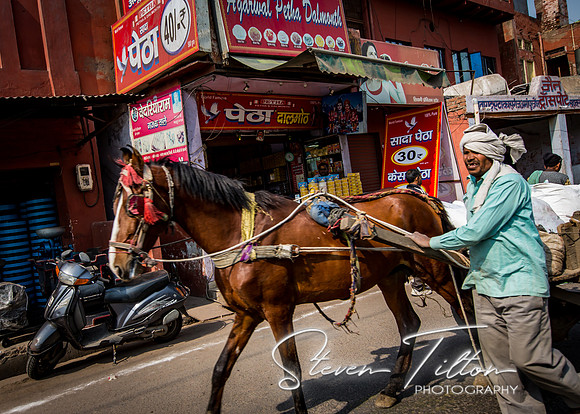 A horse pulls goods down a busy road in Agra.