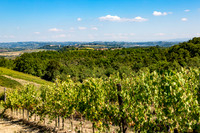 Agriturismo Il Vecchio Maneggio