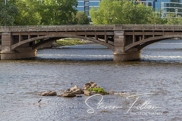 Grand Rapids, MI