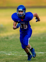 Apex @ Wake Forest JV Football