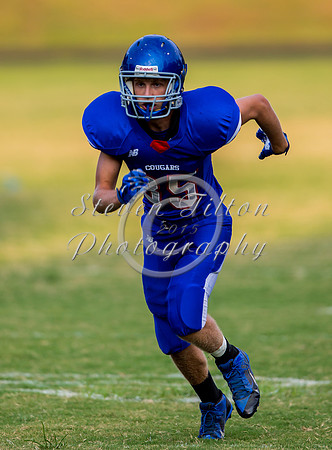 Apex @ Wake Forest JV Football