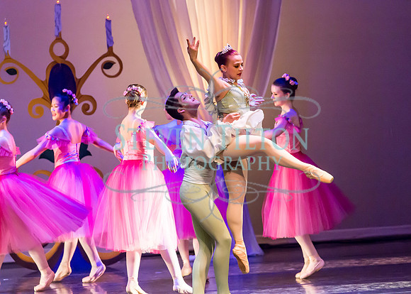 DDI Winter Gala III